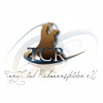 Tanzclub Ruhmannsfelden e.V. - Logodesign - Jahr 2013 - Deutschland